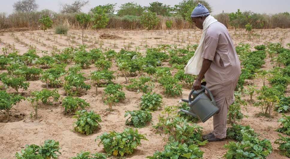 Tapping to a better future: Clean water for rural Senegal