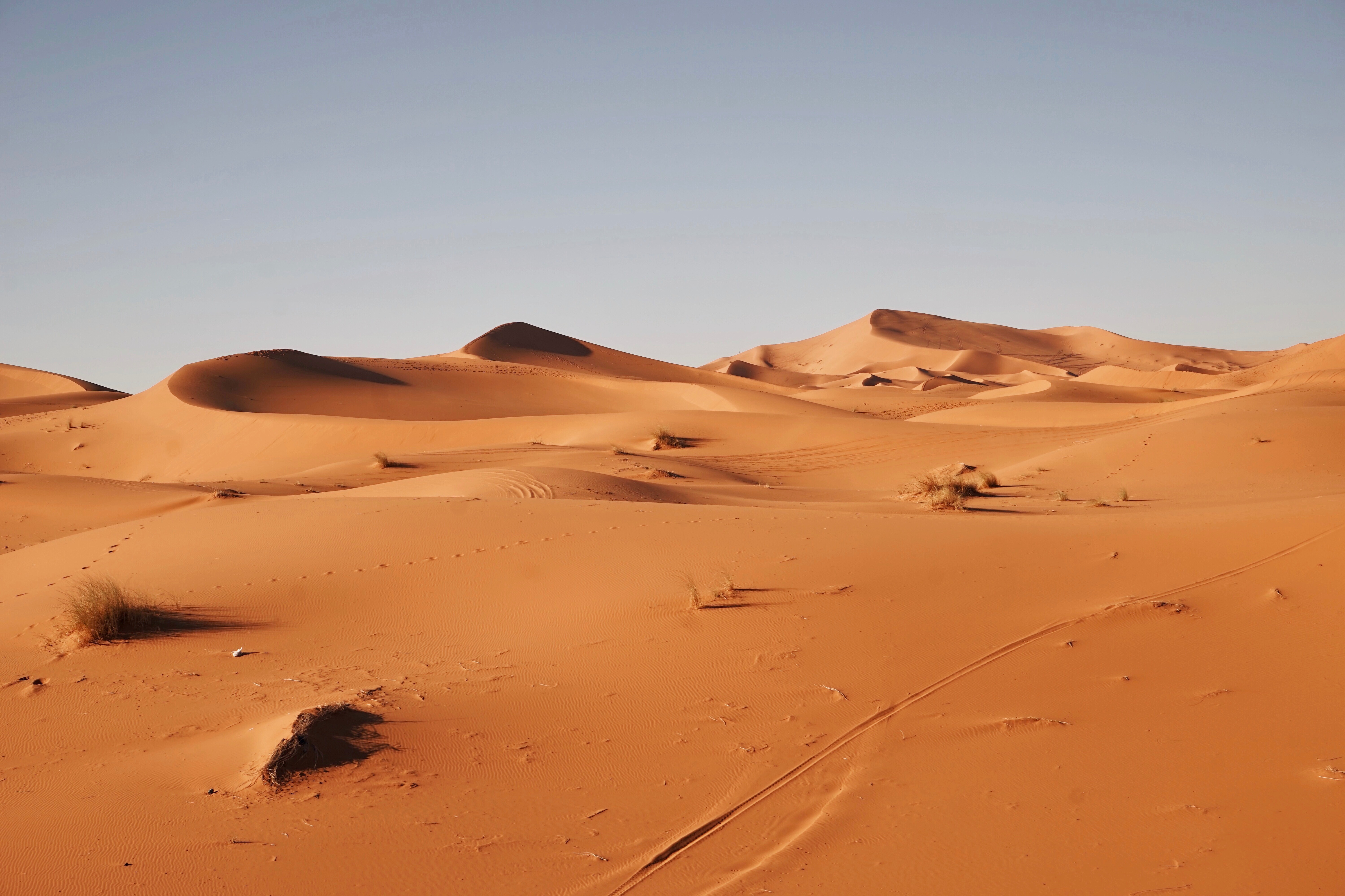 From the Desert to the Sea: Modernising the Nouadhibou Mining Port