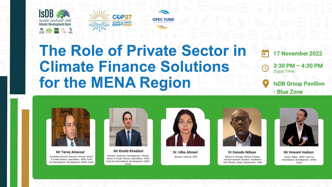 The Role of Private Sector in Climate Finance Solutions for the MENA Region 