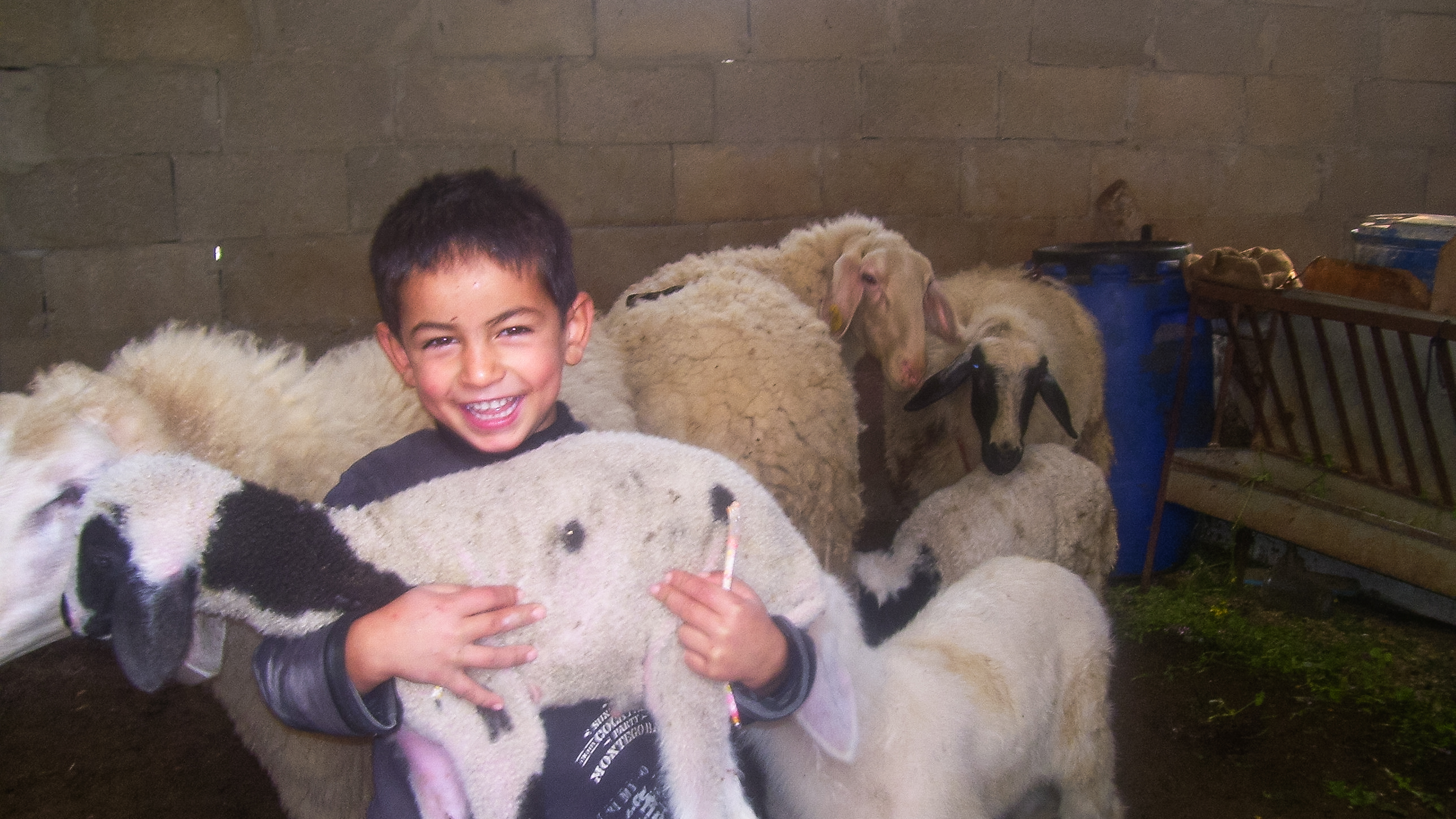 The Deprived Families Economic Empowerment Program (DEEP) in Palestine